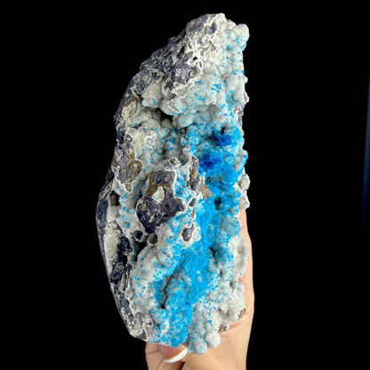 Electric Electric Blue Pentagonite Sprays on Heulandite Matrix - Rare Collector’s Cabinet Specimen from Pune, India # DKT180 Pentagonite Superb Minerals 
