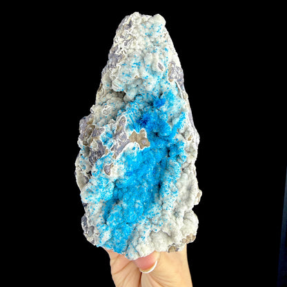 Electric Electric Blue Pentagonite Sprays on Heulandite Matrix - Rare Collector’s Cabinet Specimen from Pune, India # DKT180 Pentagonite Superb Minerals 