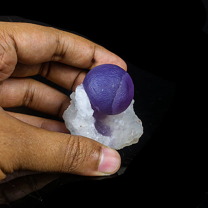 Extremely Rare Dark Purple Botryoidal Fluorite Natural Mineral Specimen – One-of-a-Kind World-Class Piece # B 7035