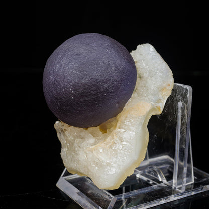 Extremely Rare Dark Purple Botryoidal Fluorite Natural Mineral Specimen – One-of-a-Kind World-Class Piece # B 7097