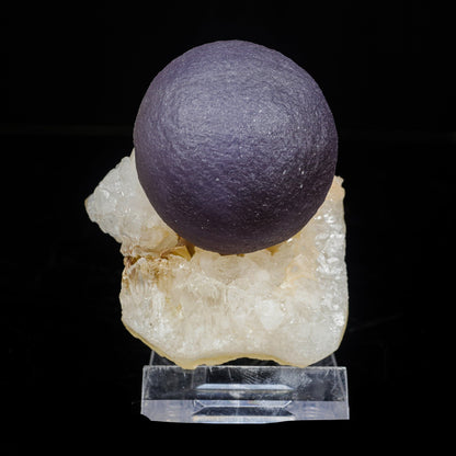 Extremely Rare Dark Purple Botryoidal Fluorite Natural Mineral Specimen – One-of-a-Kind World-Class Piece # B 7097