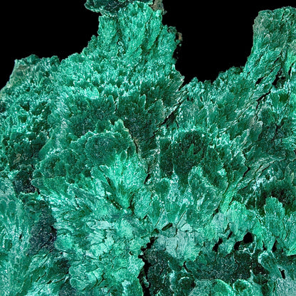 Fibrous Malachite | SELF STANDING | High Quality Mineral | Superb Minerals | Fine Minerals Malachite Superb Minerals 