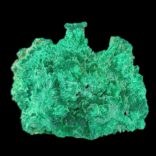 Fibrous Malachite | SELF STANDING | High Quality Mineral | Superb Minerals | Fine Minerals Malachite Superb Minerals 