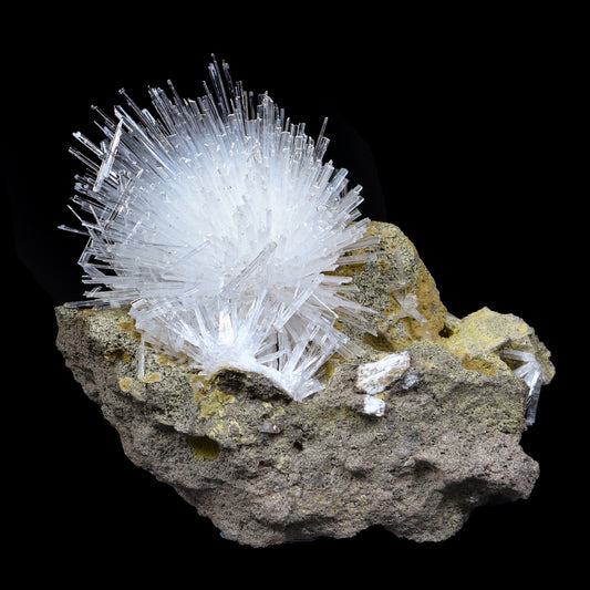Fine Scolecite Spray Flower on Basalt Matrix - Collector’s Zeolite Specimen from Nashik, India # B 7193 Scolecite Superb Minerals 