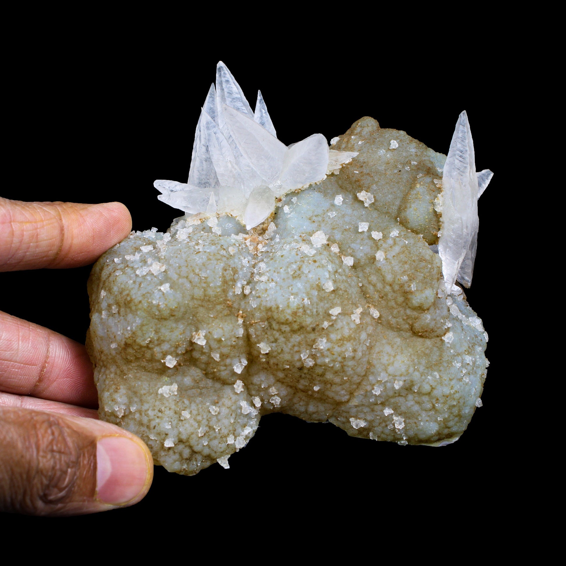 Fluorescent Dogtooth Calcite on Chalcedony-Coated Calcite Matrix – UV Reactive Natural Mineral Specimen from MadhyaPradesh, India # B 7132 Calcite Superb Minerals 