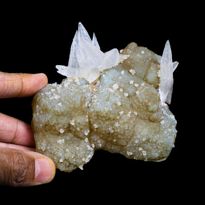 Fluorescent Dogtooth Calcite on Chalcedony-Coated Calcite Matrix – UV Reactive Natural Mineral Specimen from MadhyaPradesh, India # B 7132 Calcite Superb Minerals 