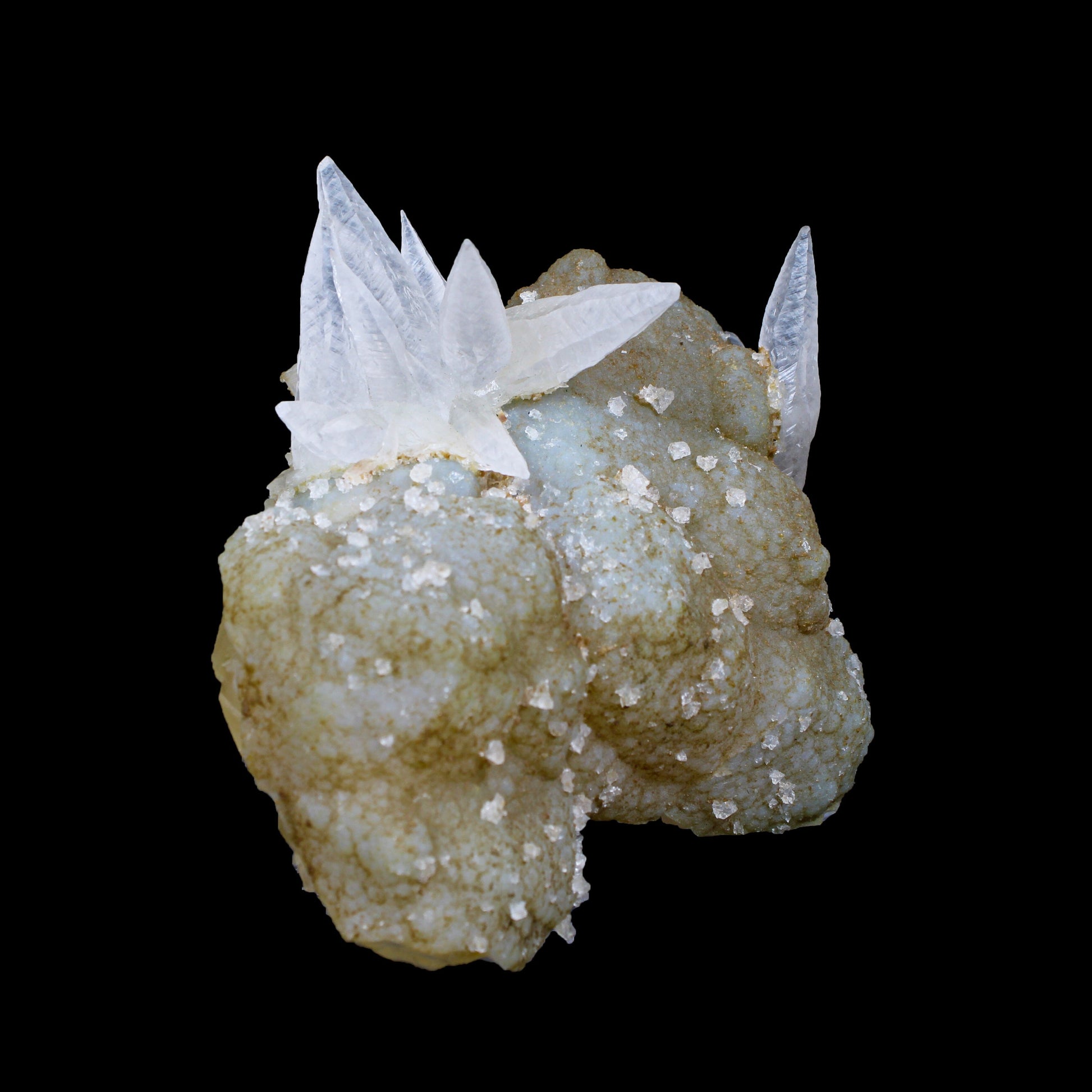 Fluorescent Dogtooth Calcite on Chalcedony-Coated Calcite Matrix – UV Reactive Natural Mineral Specimen from MadhyaPradesh, India # B 7132 Calcite Superb Minerals 