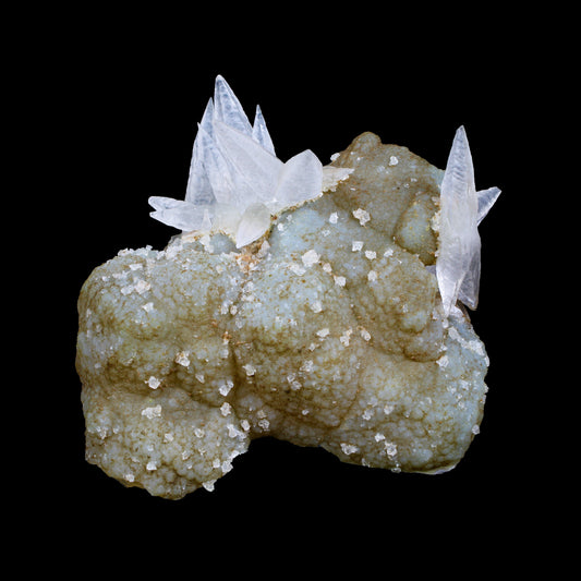 Fluorescent Dogtooth Calcite on Chalcedony-Coated Calcite Matrix – UV Reactive Natural Mineral Specimen from MadhyaPradesh, India # B 7132 Calcite Superb Minerals 