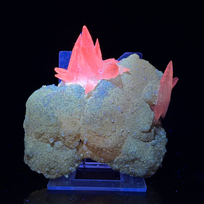Fluorescent Dogtooth Calcite on Chalcedony-Coated Calcite Matrix – UV Reactive Natural Mineral Specimen from MadhyaPradesh, India # B 7132 Calcite Superb Minerals 