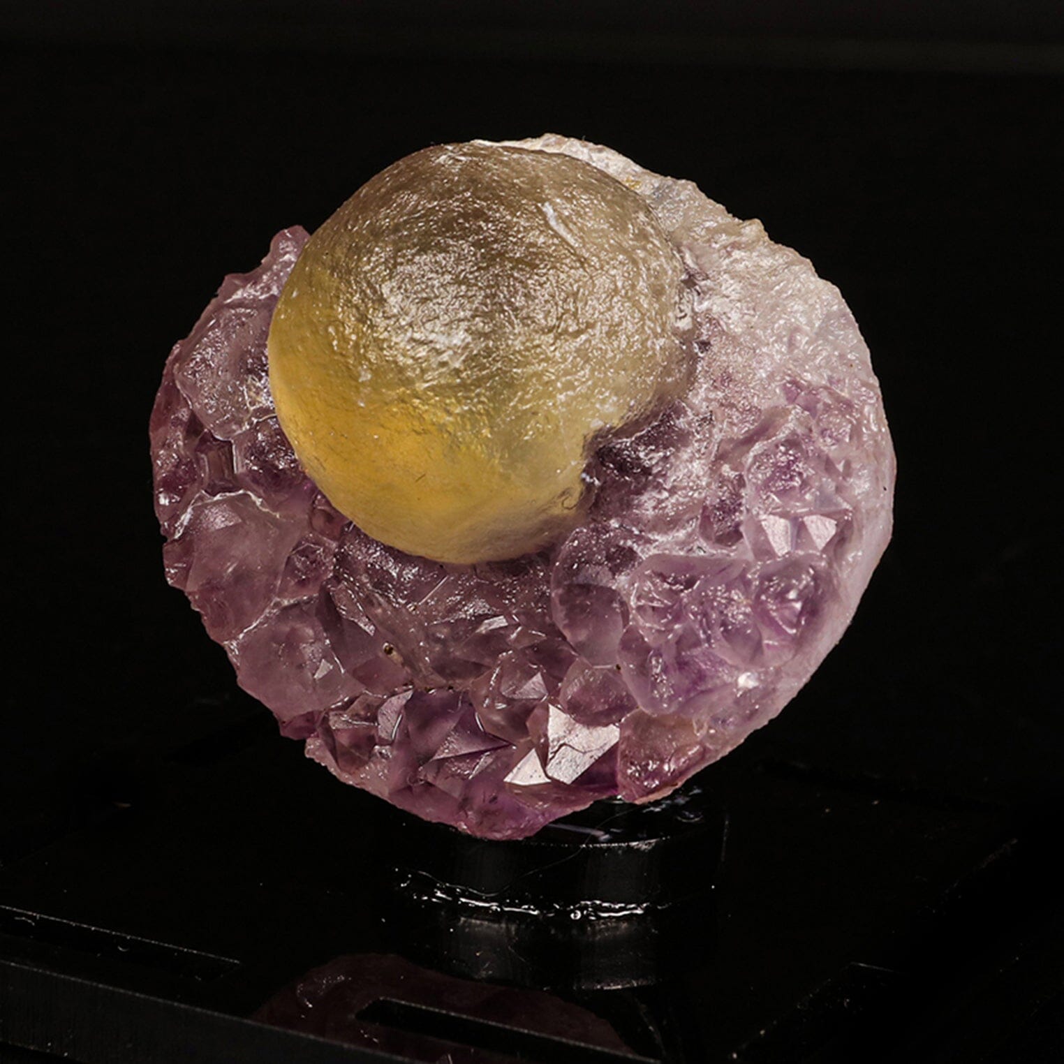 Fluorite Botridoal on Amethyst Natural Mineral Specimen # B 6823 Fluorite Superb Minerals 