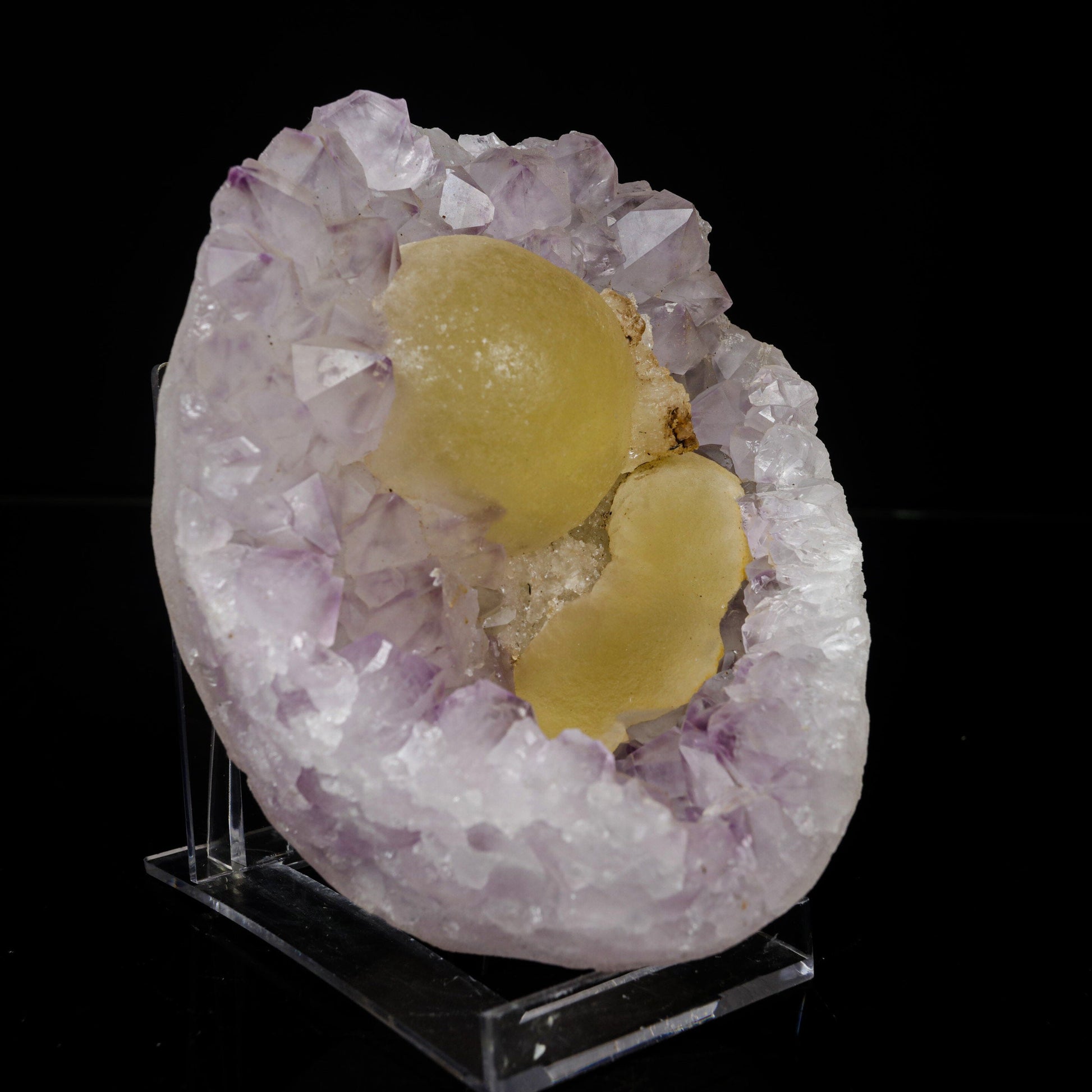 Fluorite on Amethyst Natural Mineral Specimen # B 7078 Fluorite Superb Minerals 
