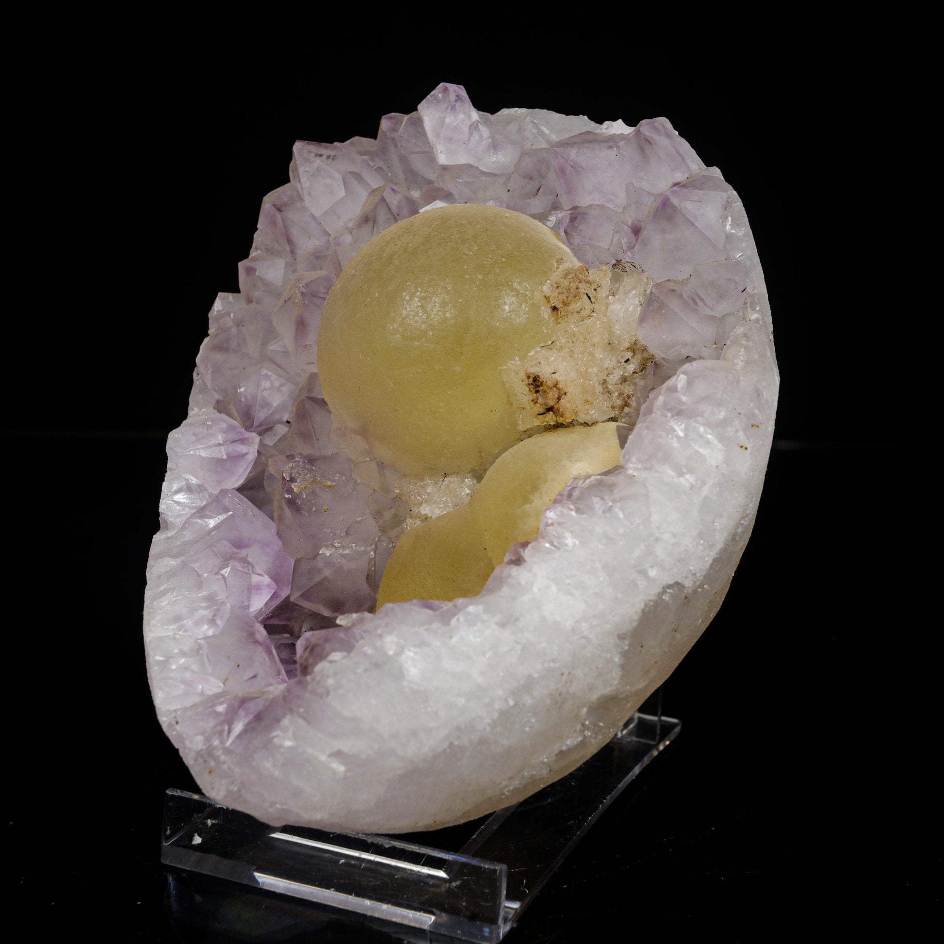 Fluorite on Amethyst Natural Mineral Specimen # B 7078 Fluorite Superb Minerals 