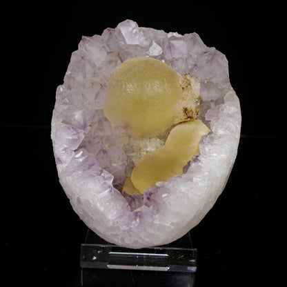 Fluorite on Amethyst Natural Mineral Specimen # B 7078 Fluorite Superb Minerals 