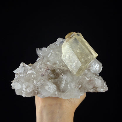 Gemmy Golden Calcite Crystal Perched on Apophyllite Tip Cluster with Stilbite - Collector’s Cabinet Specimen from Jalgaon, India # DKT170 Calcite Superb Minerals 