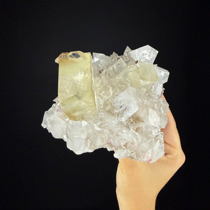 Gemmy Golden Calcite Crystal Perched on Apophyllite Tip Cluster with Stilbite - Collector’s Cabinet Specimen from Jalgaon, India # DKT170 Calcite Superb Minerals 