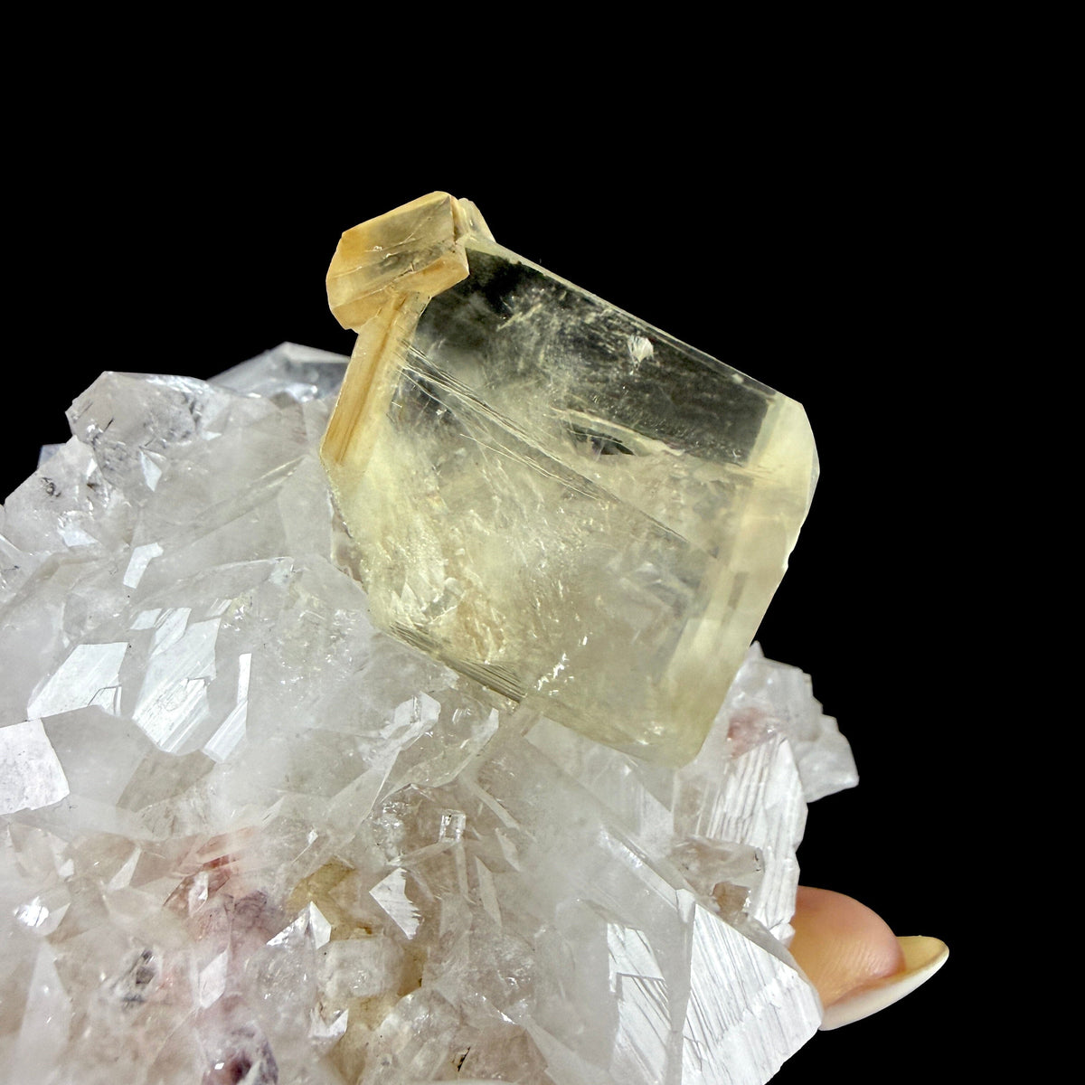 Gemmy Golden Calcite Crystal Perched on Apophyllite Tip Cluster with Stilbite - Collector’s Cabinet Specimen from Jalgaon, India # DKT170 Calcite Superb Minerals 