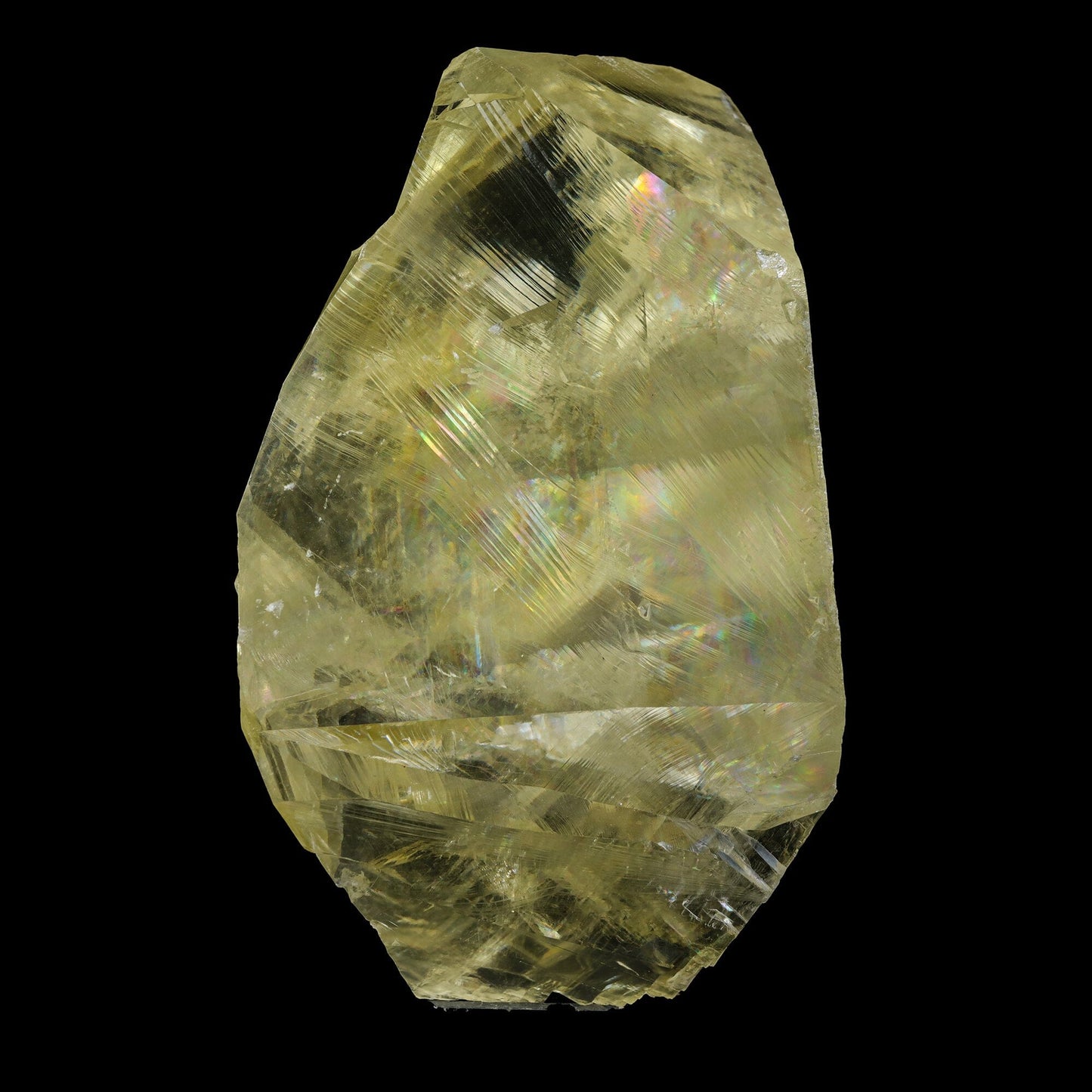 Gemmy Yellow Calcite Crystal on Indian Zeolite Matrix – Rare Jalgaon, India Natural Mineral Specimen # B 7104 Calcite Superb Minerals 