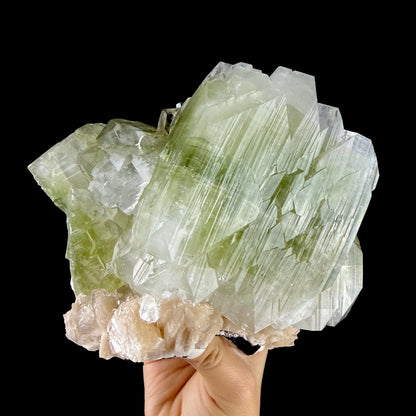 Giant Prismatic Green Apophyllite Crystal Block with Peach Stilbite - Collector’s Museum Cabinet Specimen from Nashik, India # DKT169 Apophyllite Superb Minerals 