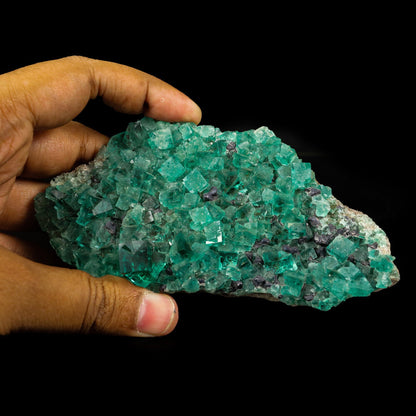 Greeen Fluorite Natural mineral Specimen # B 6796 Superb Minerals 