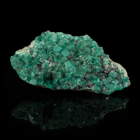 Greeen Fluorite Natural mineral Specimen # B 6796 Superb Minerals 