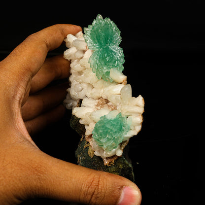 Green Apophyllite Bow with Stilbite Free Standing Natural Mineral Specimen # B 6774 Apohyllite Superb Minerals 