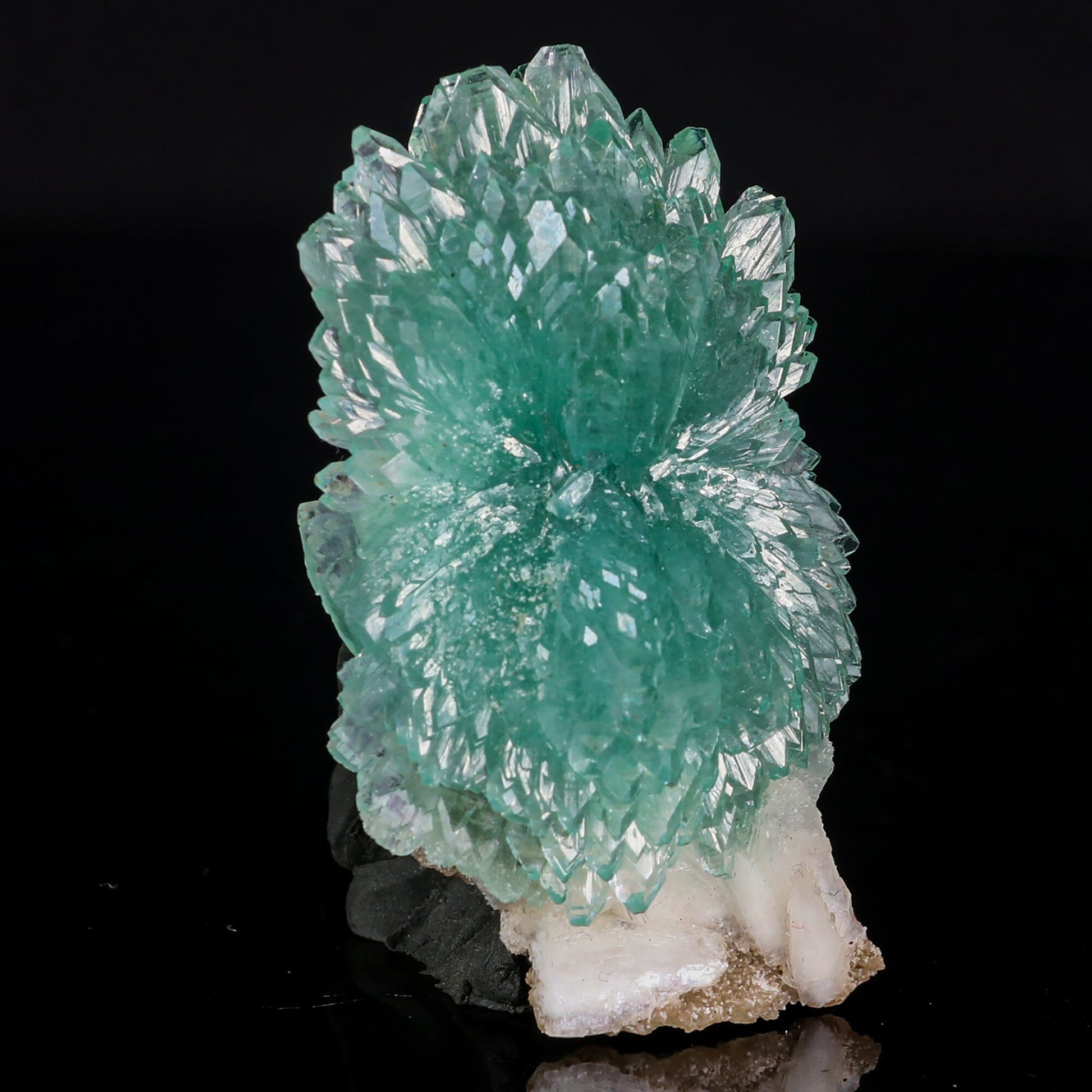 Green Apophyllite Bow with Stilbite Natural Mineral Specimen # B 6843 Apophyllite Superb Minerals 
