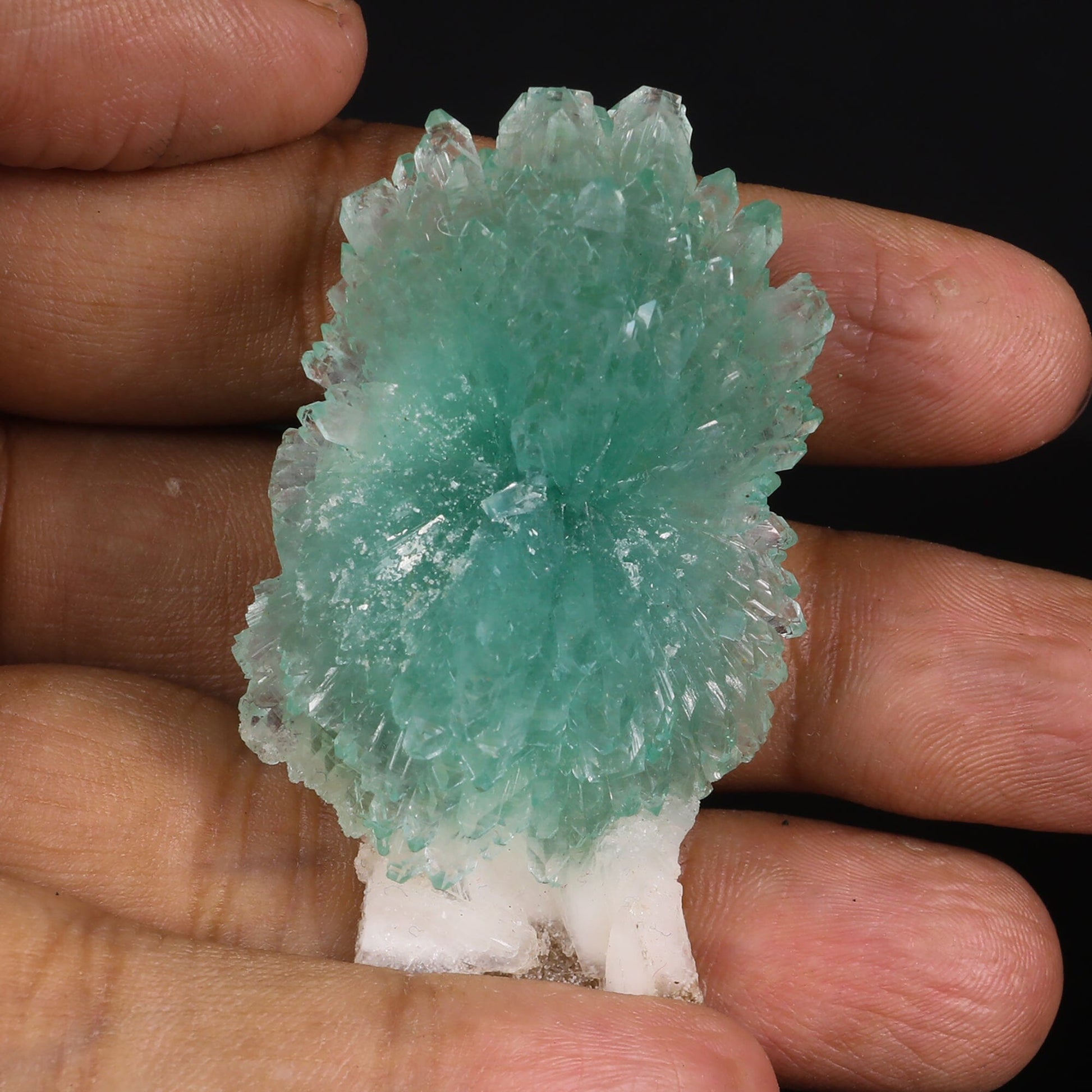 Green Apophyllite Bow with Stilbite Natural Mineral Specimen # B 6843 Apophyllite Superb Minerals 