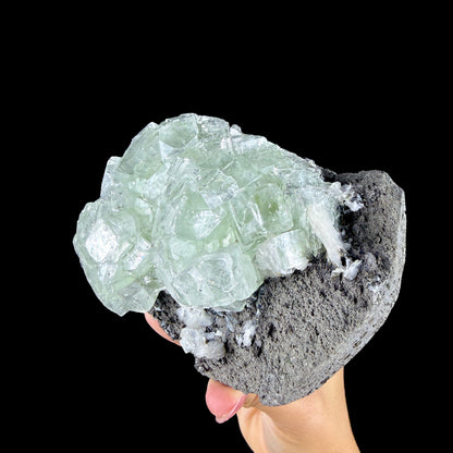 Green Apophyllite Cluster on Dark Matrix - Collector’s Zeolite Specimen from Ahilyanagar #DKT153 apophyllite Superb Minerals 