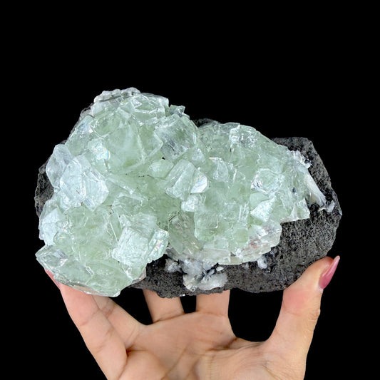 Green Apophyllite Cluster on Dark Matrix - Collector’s Zeolite Specimen from Ahilyanagar #DKT153 apophyllite Superb Minerals 