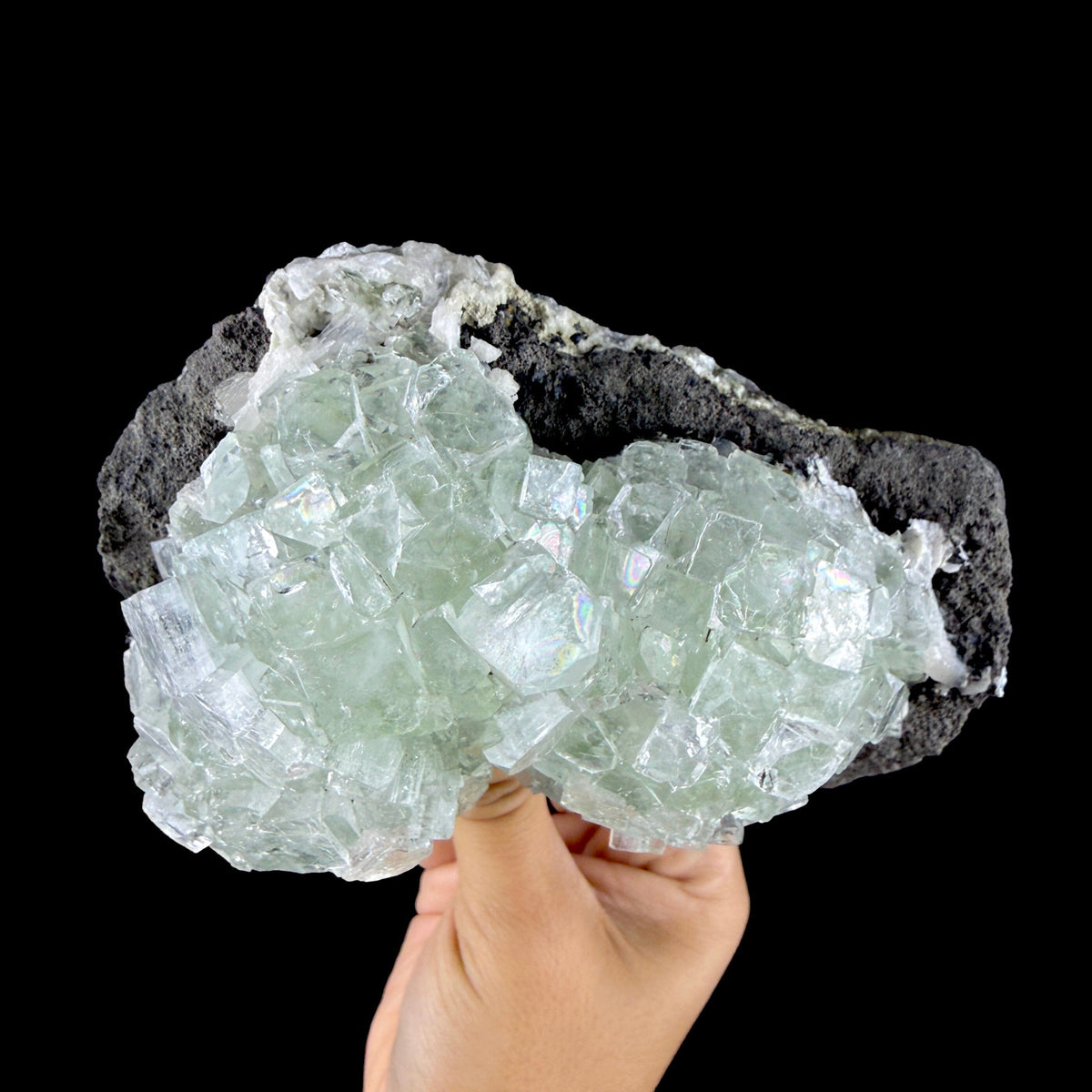Green Apophyllite Cluster on Dark Matrix - Collector’s Zeolite Specimen from Ahilyanagar #DKT153 apophyllite Superb Minerals 