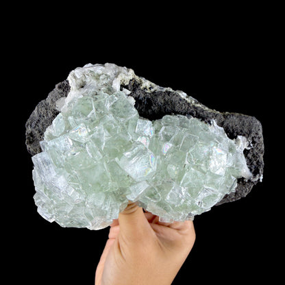 Green Apophyllite Cluster on Dark Matrix - Collector’s Zeolite Specimen from Ahilyanagar #DKT153 apophyllite Superb Minerals 