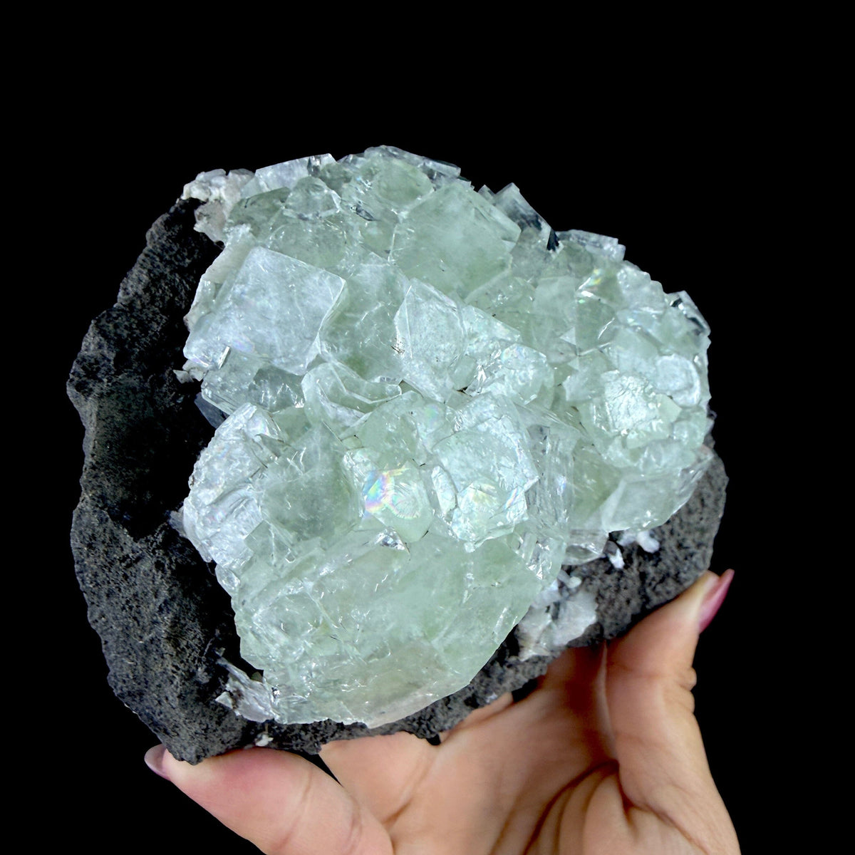 Green Apophyllite Cluster on Dark Matrix - Collector’s Zeolite Specimen from Ahilyanagar #DKT153 apophyllite Superb Minerals 