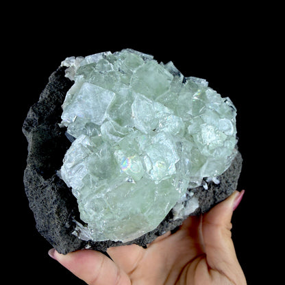 Green Apophyllite Cluster on Dark Matrix - Collector’s Zeolite Specimen from Ahilyanagar #DKT153 apophyllite Superb Minerals 