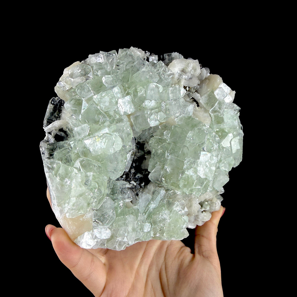 Green Apophyllite Cluster on Dark Matrix - Collector’s Zeolite Specimen from Ahilyanagar # DKT202 apophyllite Superb Minerals 