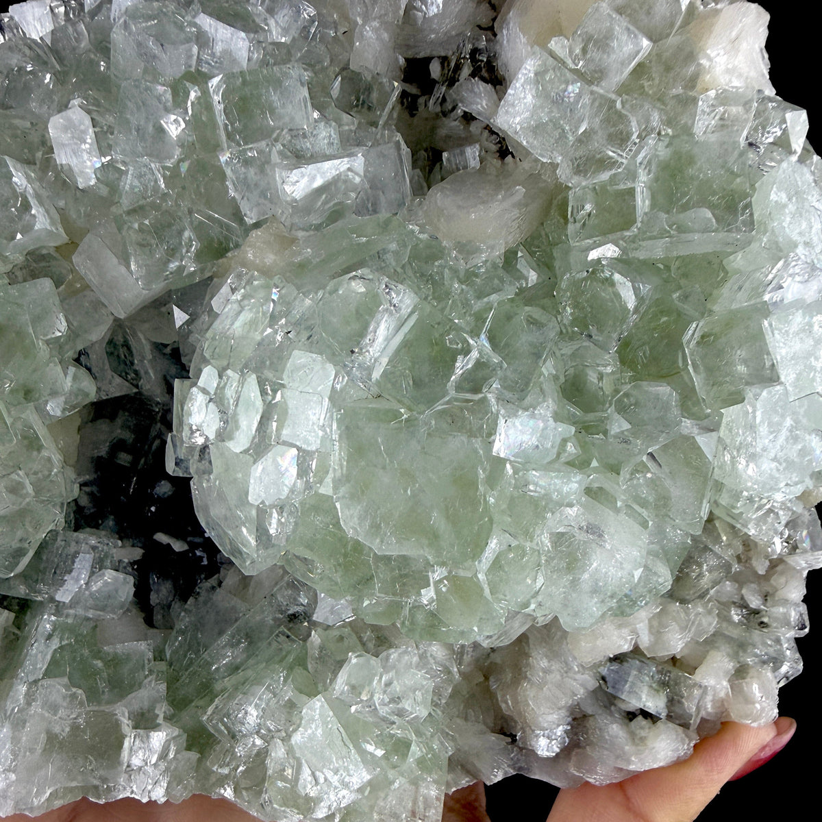 Green Apophyllite Cluster on Dark Matrix - Collector’s Zeolite Specimen from Ahilyanagar # DKT202 apophyllite Superb Minerals 