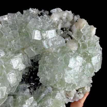 Green Apophyllite Cluster on Dark Matrix - Collector’s Zeolite Specimen from Ahilyanagar # DKT202 apophyllite Superb Minerals 