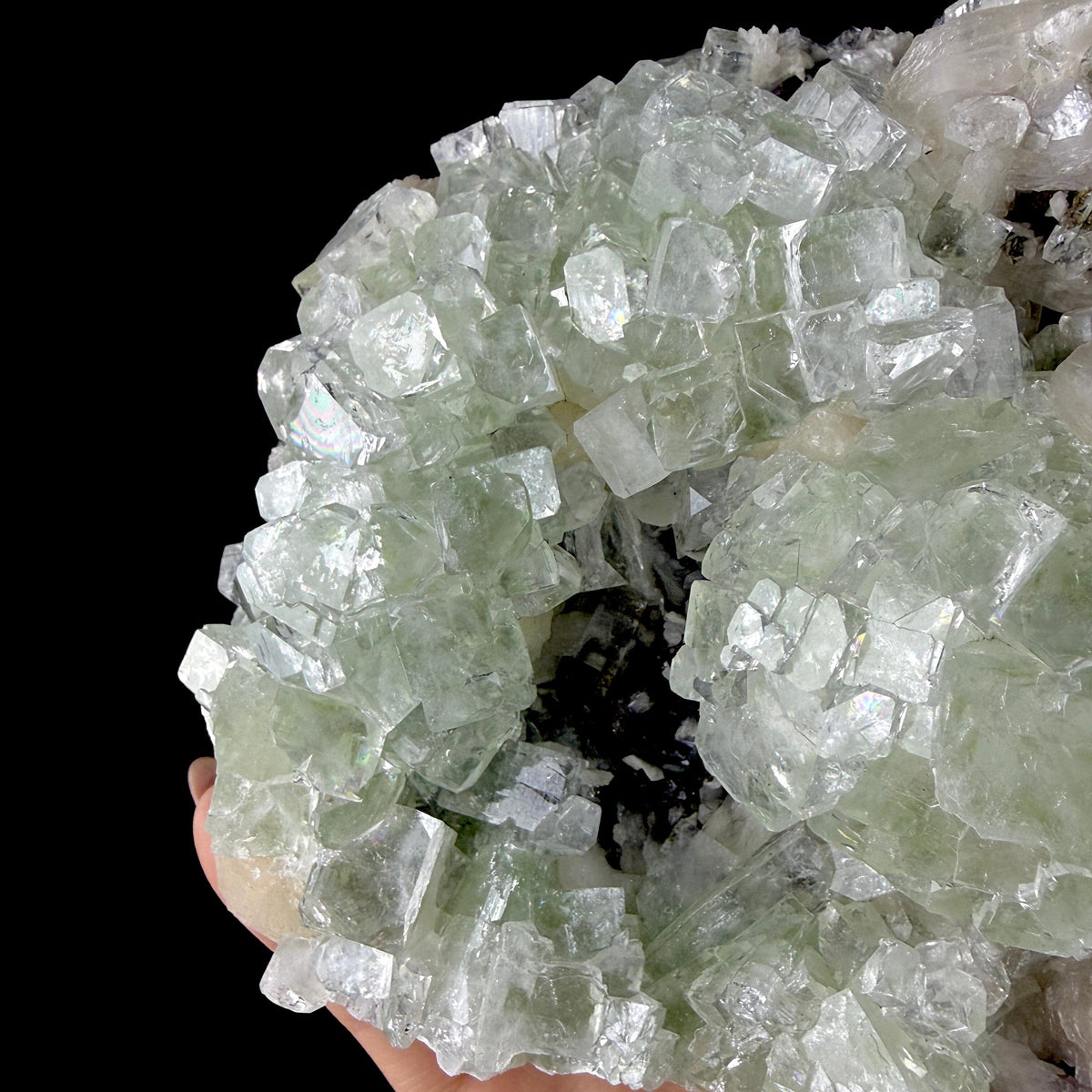 Green Apophyllite Cluster on Dark Matrix - Collector’s Zeolite Specimen from Ahilyanagar # DKT202 apophyllite Superb Minerals 