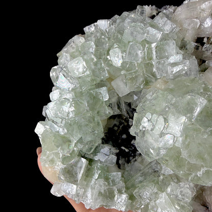 Green Apophyllite Cluster on Dark Matrix - Collector’s Zeolite Specimen from Ahilyanagar # DKT202 apophyllite Superb Minerals 