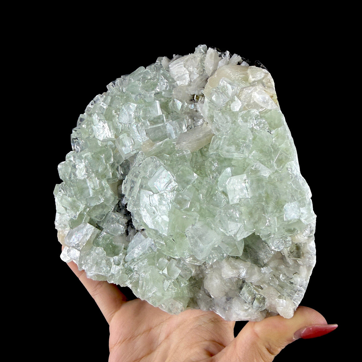 Green Apophyllite Cluster on Dark Matrix - Collector’s Zeolite Specimen from Ahilyanagar # DKT202 apophyllite Superb Minerals 
