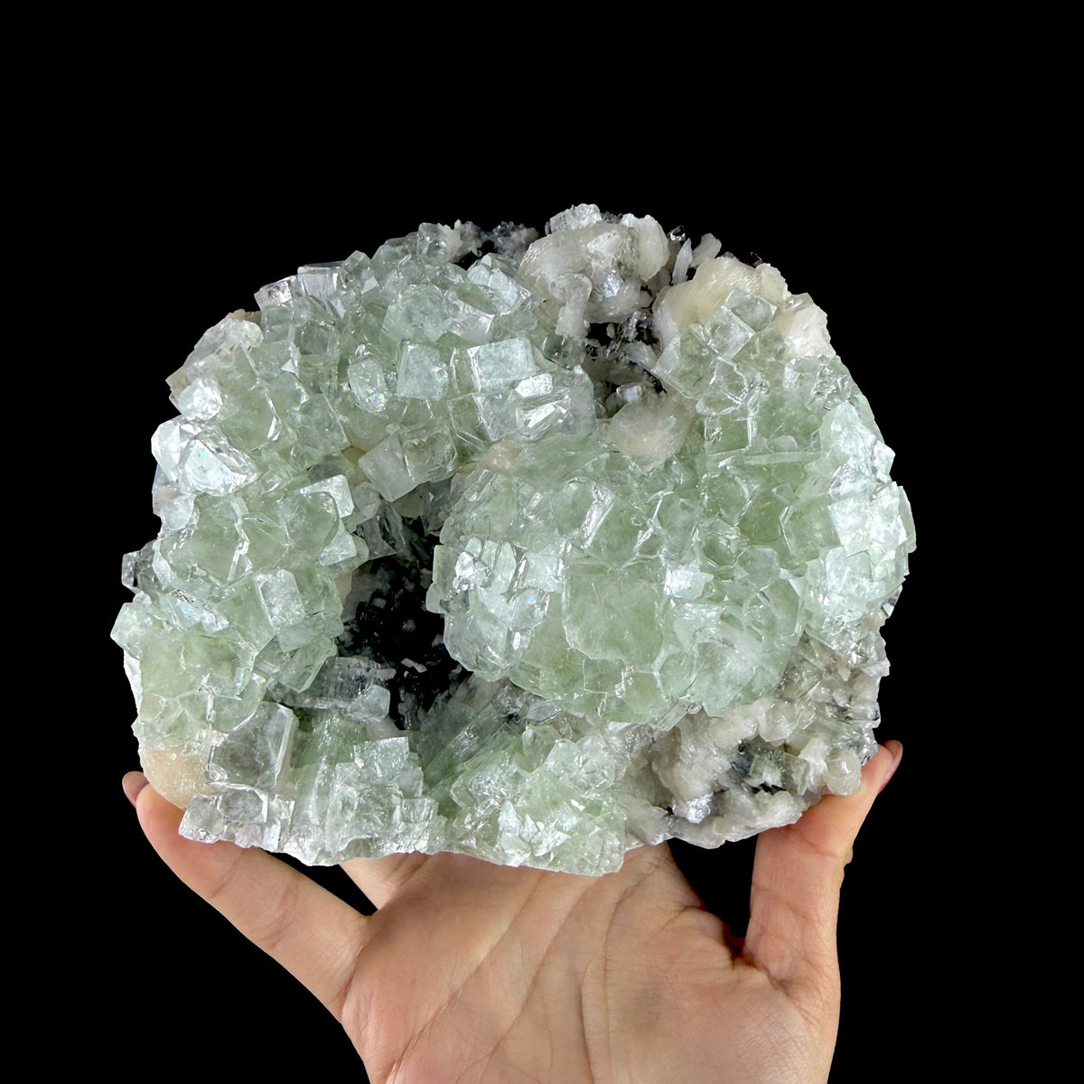 Green Apophyllite Cluster on Dark Matrix - Collector’s Zeolite Specimen from Ahilyanagar # DKT202 apophyllite Superb Minerals 