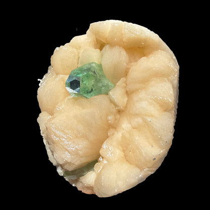 Green Apophyllite Crystal Tip on Stilbite Matrix – Rare Indian Zeolite Mineral Specimen from Maharashtra DKT60 Apophyllite Superb Minerals 
