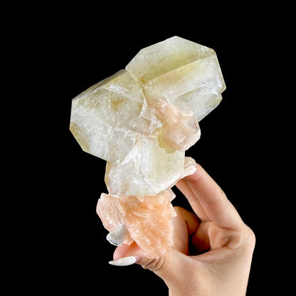 Green Apophyllite Crystal with Peach Stilbite - Collector’s Cabinet Specimen from Nashik, India # DKT165 Apophyllite Superb Minerals 