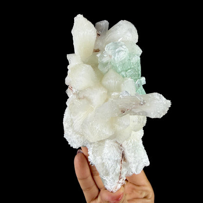 Green Apophyllite Crystal with Stilbite & Scolecite – Indian Zeolite Mineral from Nashik # DKT105 Apophyllite Superb Minerals 