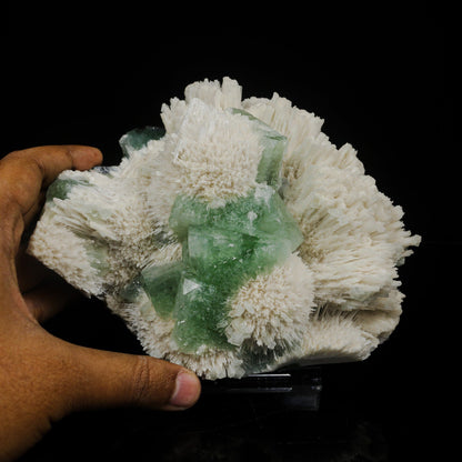 Green Apophyllite Cubes with Mordenite – Rare Zeolite Mineral Specimen from India # B 7088 Apophyllite Superb Minerals 