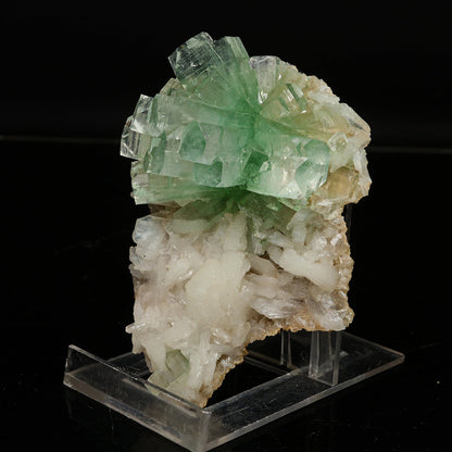 Green Apophyllite Disco Ball with Stilbite Natural Mineral Specimen # B 6770 Apohyllite Superb Minerals 