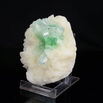 Green Apophyllite Disco Ball with Stilbite Natural Mineral Specimen # B 6840 Apohyllite Superb Minerals 