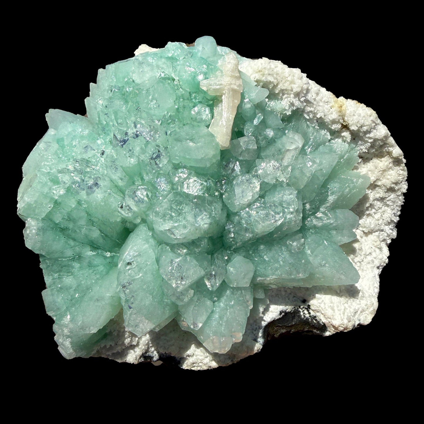 Green Apophyllite Flower Rosette on Chalcedony Matrix – Indian Zeolite Mineral Specimen from Pune# DKT110 Apophyllite Superb Minerals 