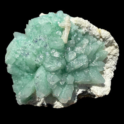 Green Apophyllite Flower Rosette on Chalcedony Matrix – Indian Zeolite Mineral Specimen from Pune# DKT110 Apophyllite Superb Minerals 