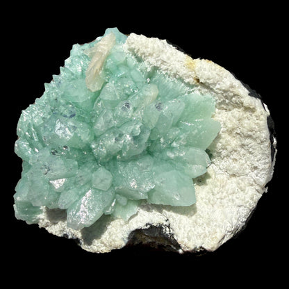 Green Apophyllite Flower Rosette on Chalcedony Matrix – Indian Zeolite Mineral Specimen from Pune# DKT110 Apophyllite Superb Minerals 