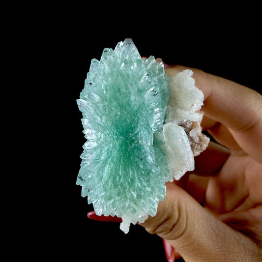 Green Apophyllite Rosette with Stilbite - Zeolite Mineral Specimen from Chhatrapati Sambhaji Nagar # DKT142 Apophyllite Superb Minerals 